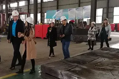Clients Néerlandais Visitant Notre Usine